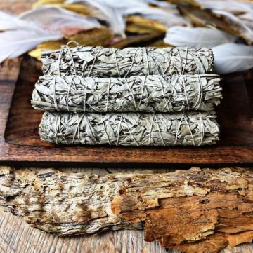 Organic Large White Sage Smudge (22-24cm)- Tool Rolled- 5 PACK